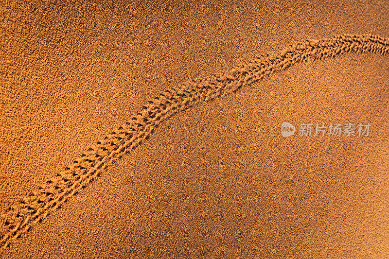 沙漠上的动物足迹，Erg Chebbi沙漠，北非摩洛哥